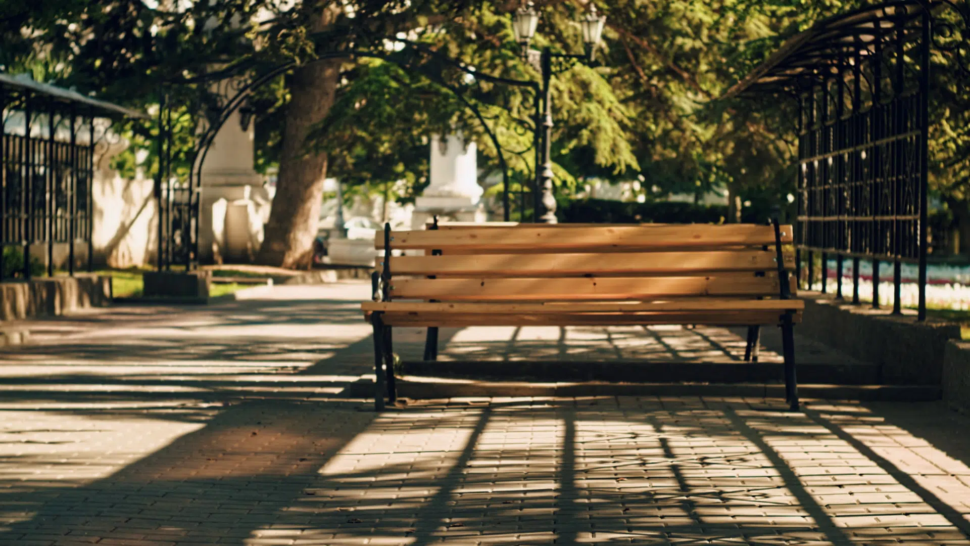 Bella panchina in citt&agrave; con tanti alberi